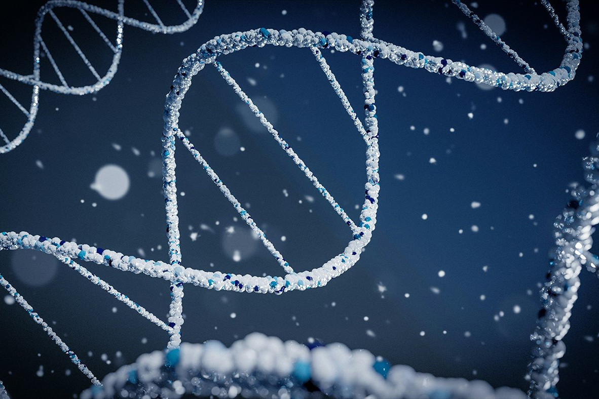 Genes Aren’t Destiny: How Genomics Can Personalize Your Health Plan