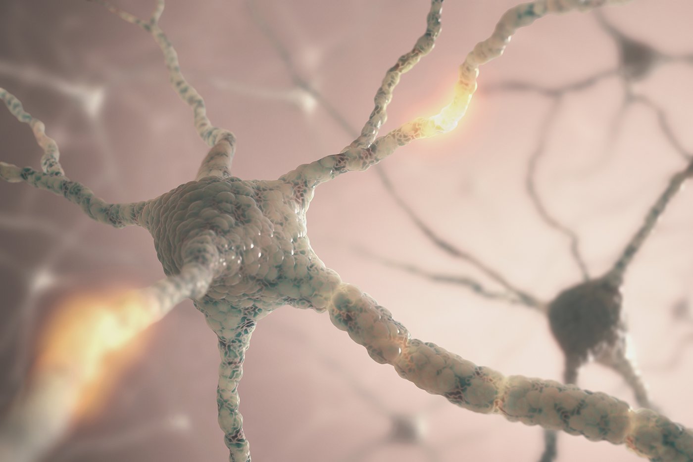 Rethinking Neurotransmitters: Why Anxiety Isn’t “All in Your Head”