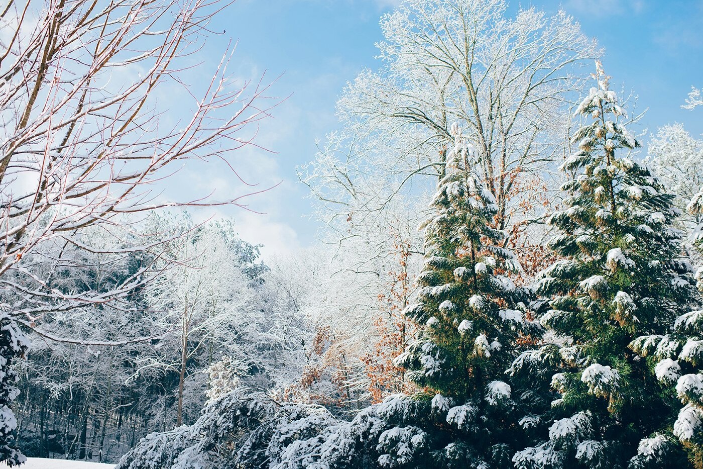 Mood, Winter, and Inflammation: Why Emotional Health Changes in Colder Months